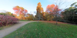 Sheffield Park - Autmn Colours